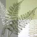 Hanna Vedder - Abstract Fern